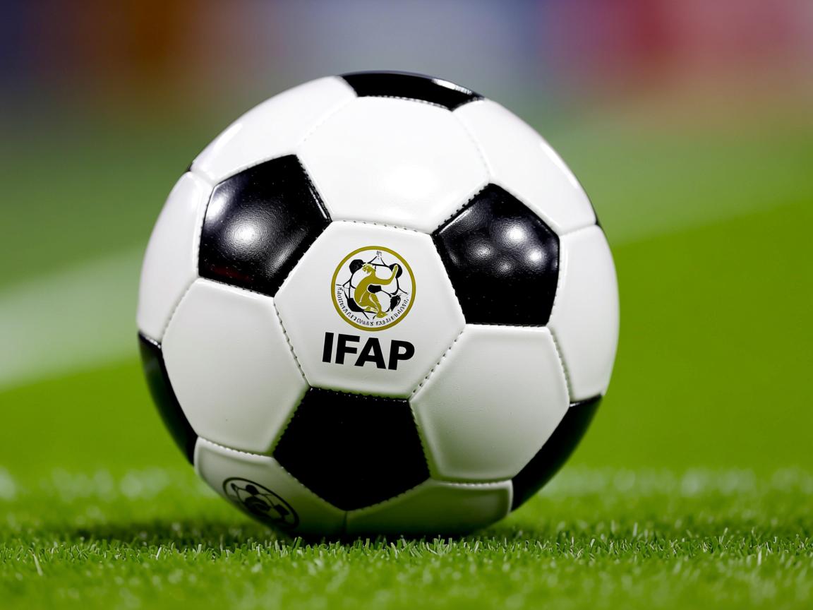 平博体育入口-亚冠赛事现场观众人数创历史新高,亚冠参赛次数 第2张