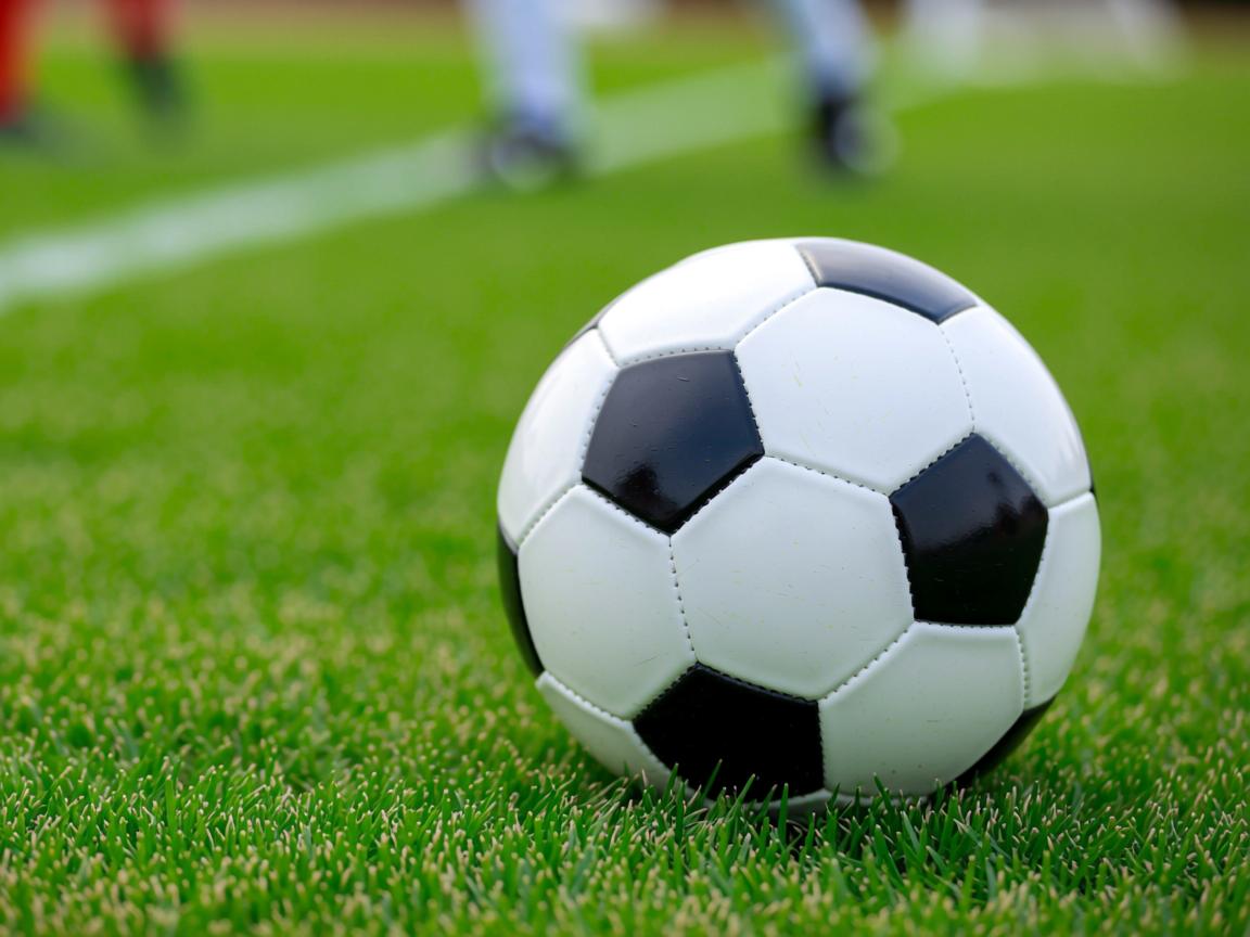 平博体育博彩-性价比最高的全明星球员名单，全明星50佳球