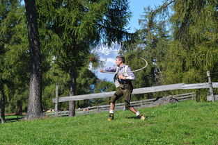 平博体育网站-兴隆湖上演水上马拉松速度盛宴,兴隆湖开了没 第2张